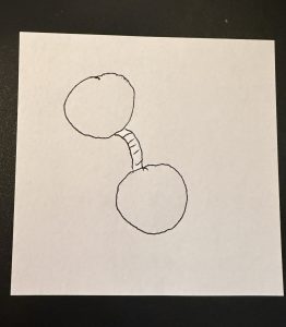 Two circles connected by a bridge.