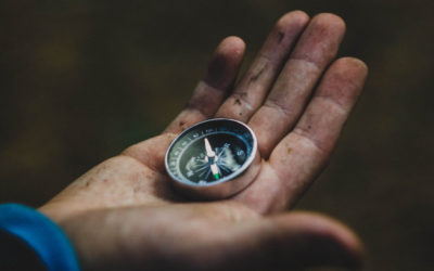 Basic Assumptions about Committed Conscious Relationships